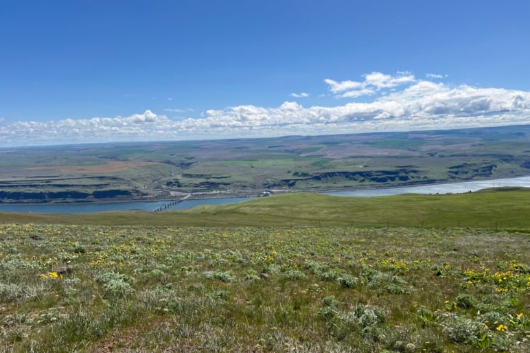 9650 Highway 14, Goldendale, WA 98620