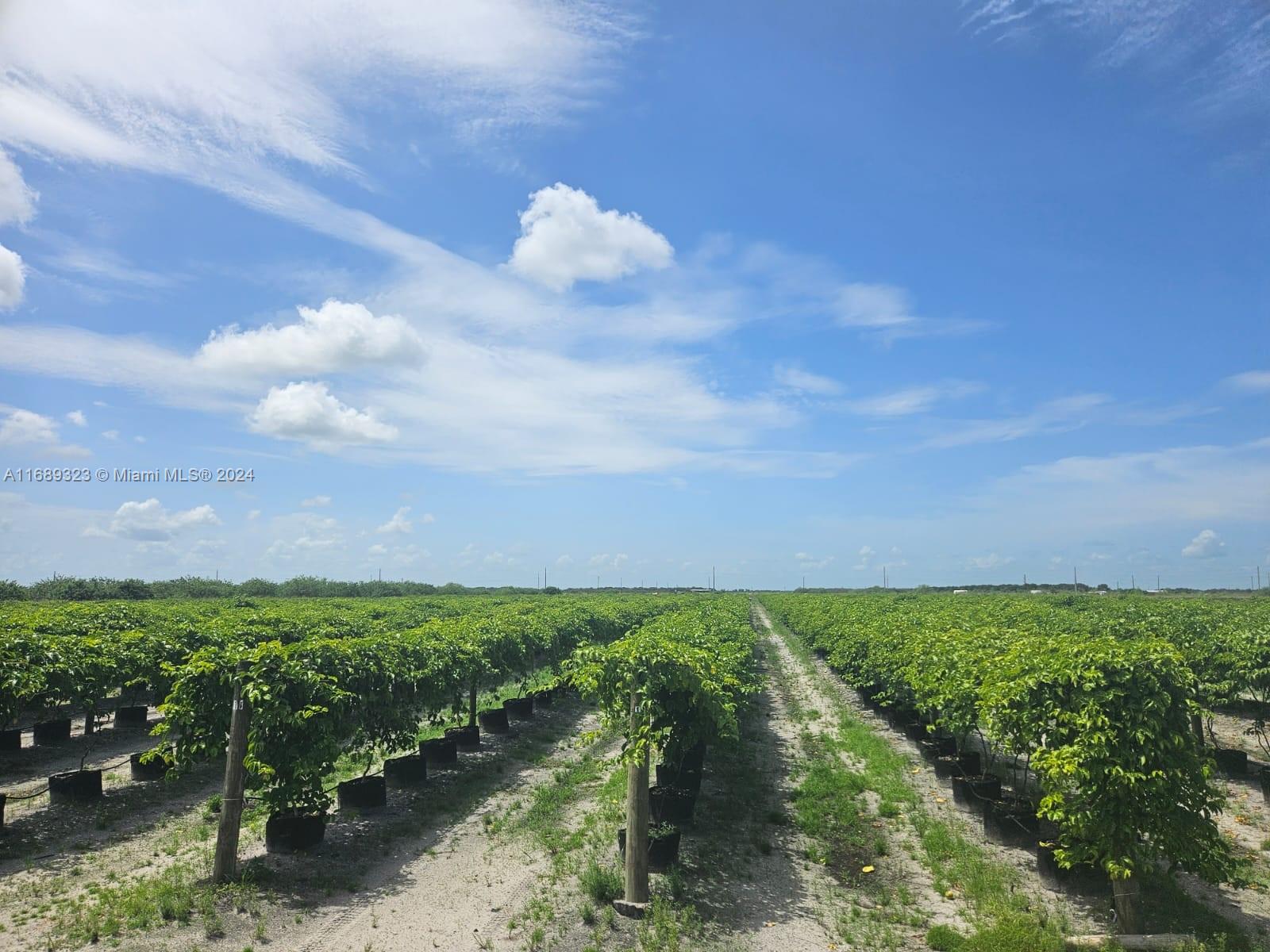 6101 6Th Ave, Labelle, FL 33935