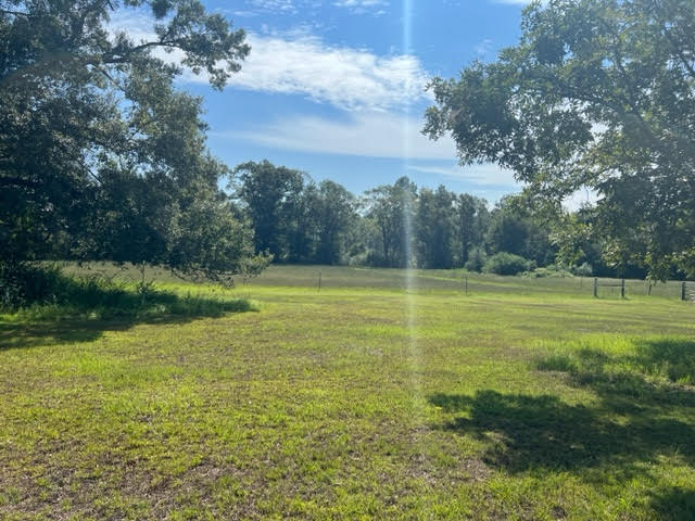 1404 Beaver Dam Rd, Bonifay, FL 32425