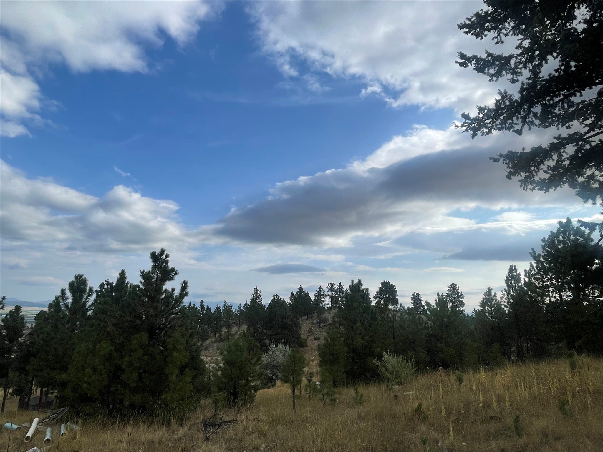1242 Winscott Ln, Helena, MT 59601