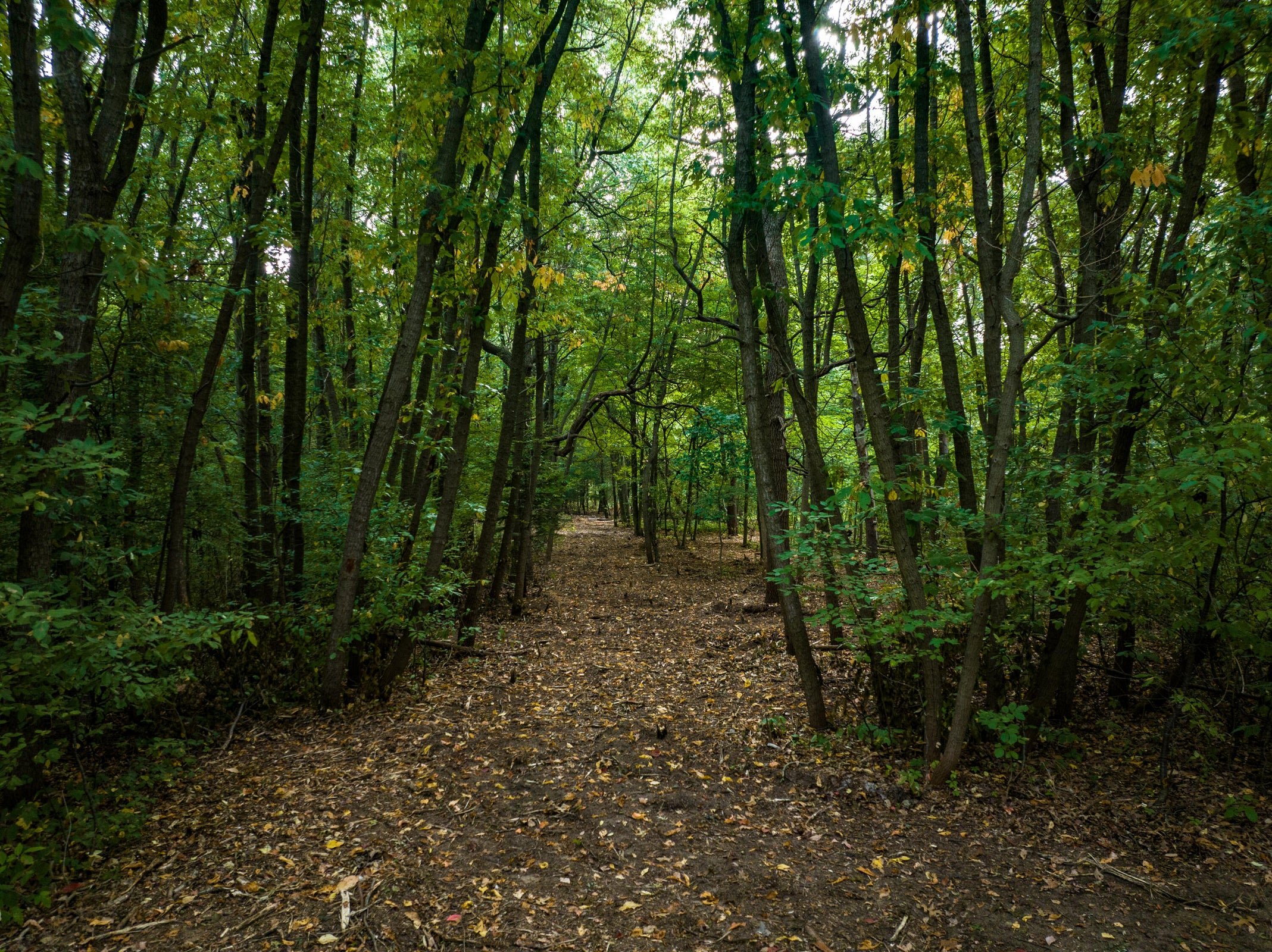 Red Arrow Hwy, Bridgman, MI 49106