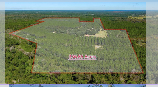 258 Bostwick Cemetery Rd, Palatka, FL 32177