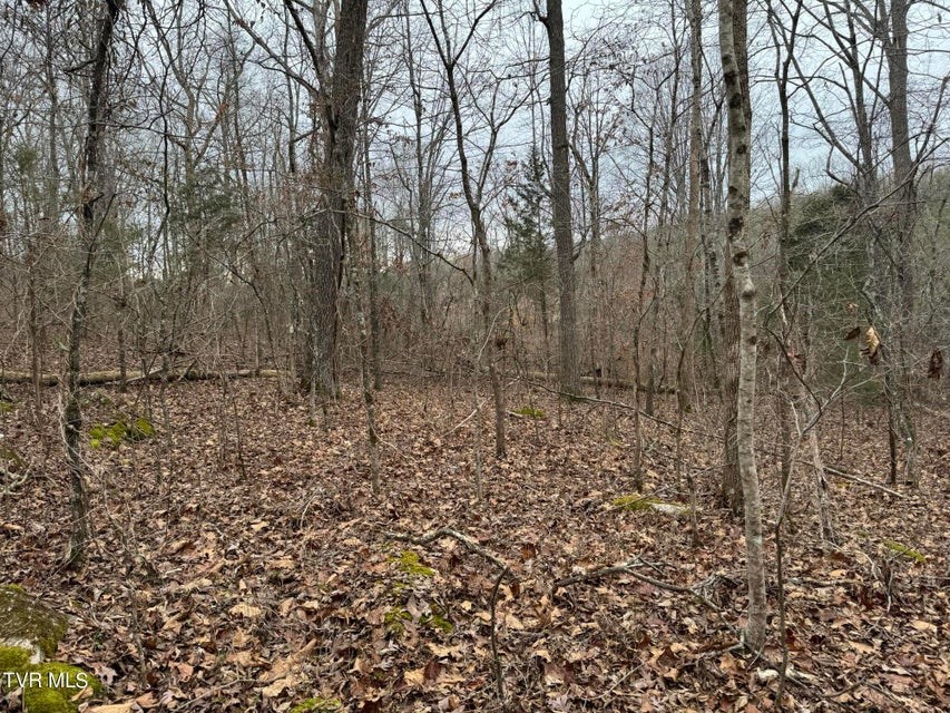 575 E Stagecoach Rd, Greeneville, TN 37743