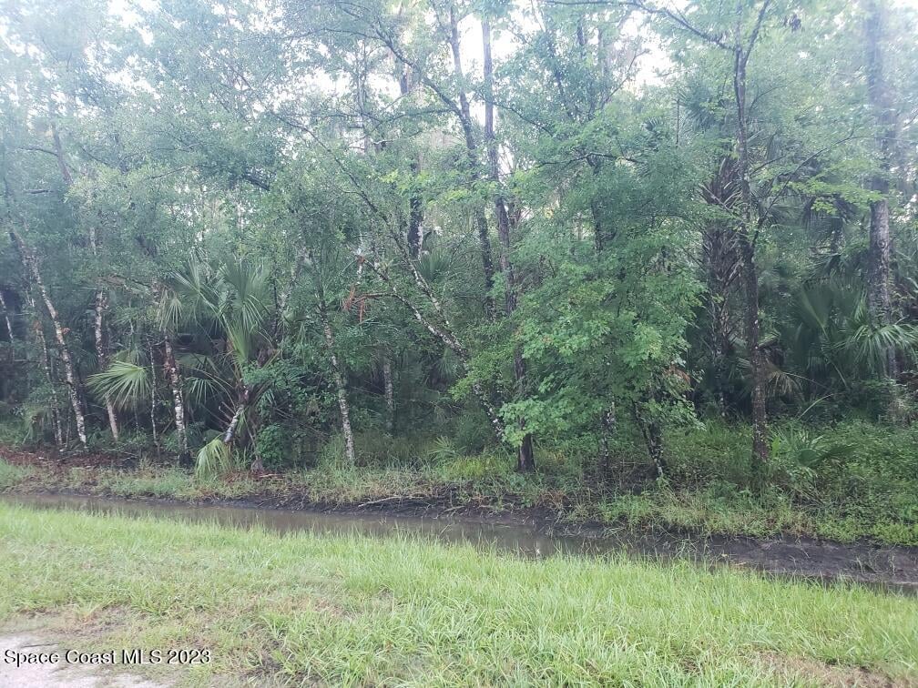 6326 Alder Ave, Bunnell, FL 32110