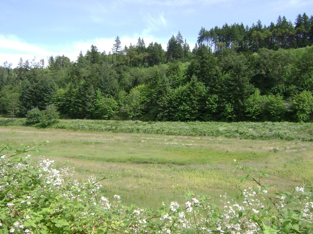 560 Stearns Ln, Oakland, OR 97462
