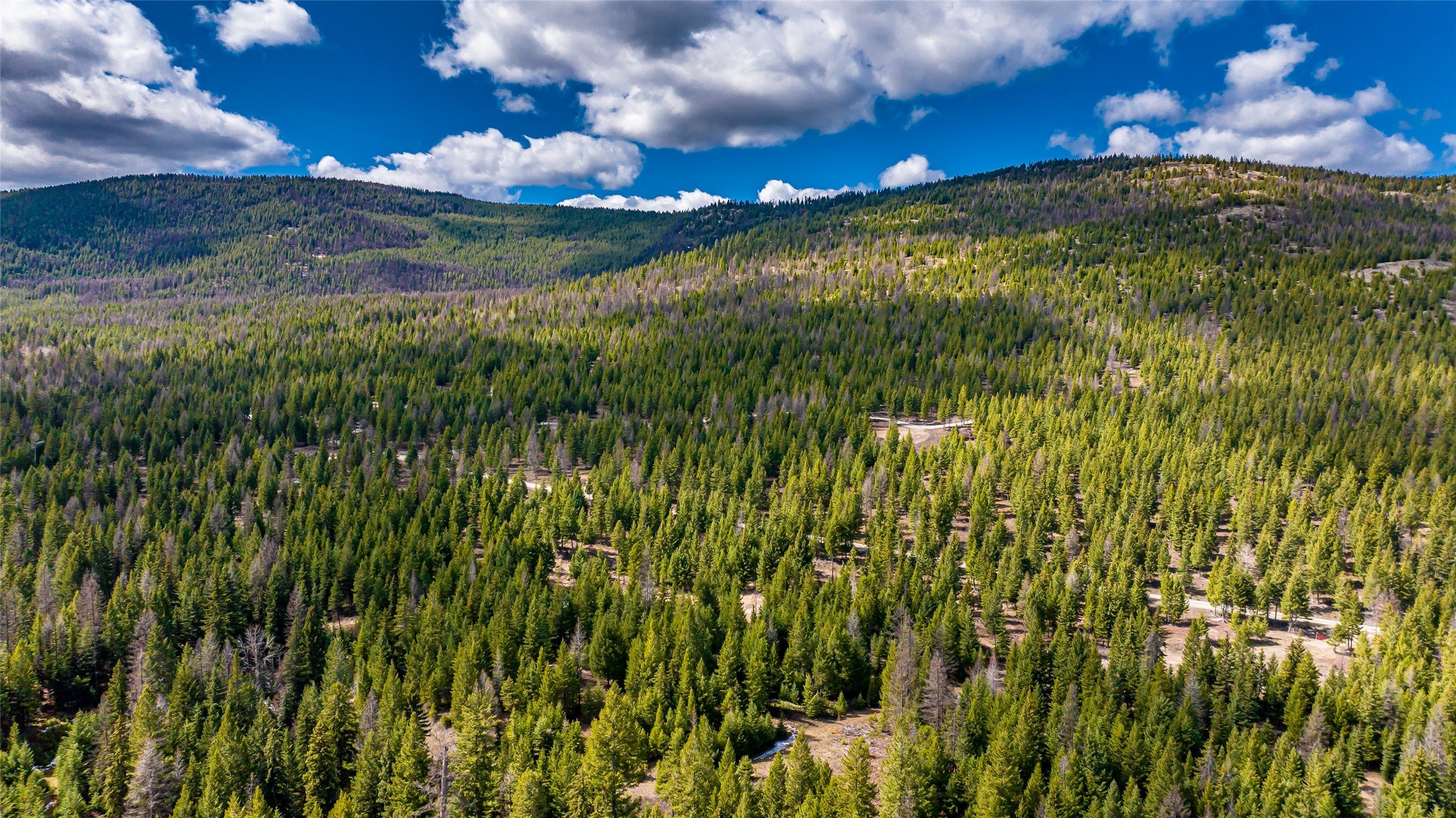 1583 Wild Bill Rd,Unit 4, Kila, MT 59920