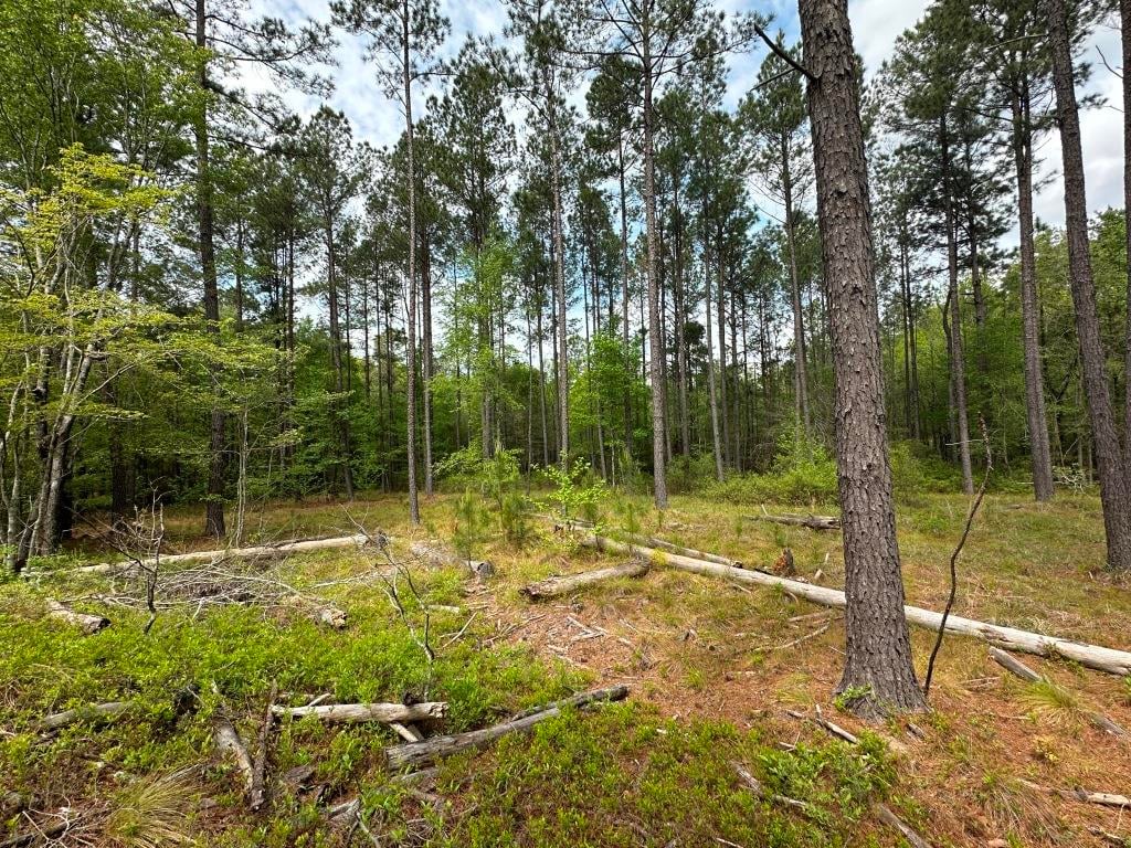 613 Rocky Knob Rd, Sylvania, GA 30467