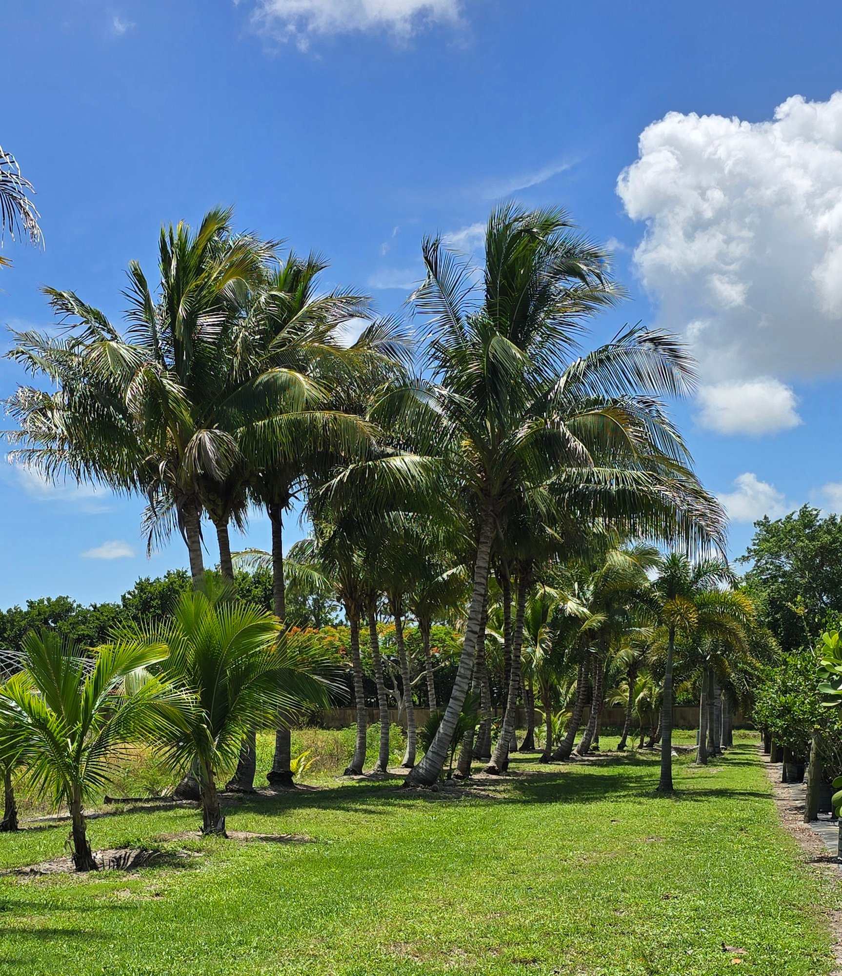 9278 158Th Rd S, Delray Beach, FL 33446