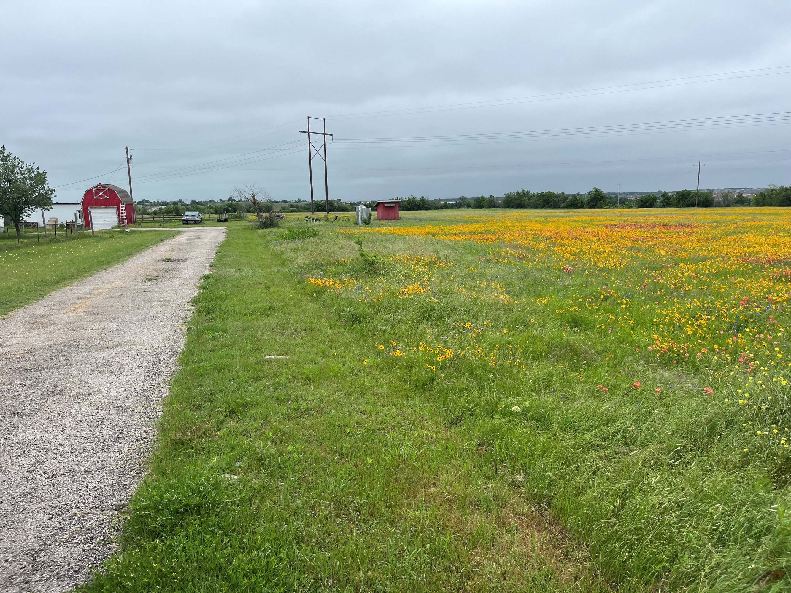 85 Prairie Dr, Jarrell, TX 76537