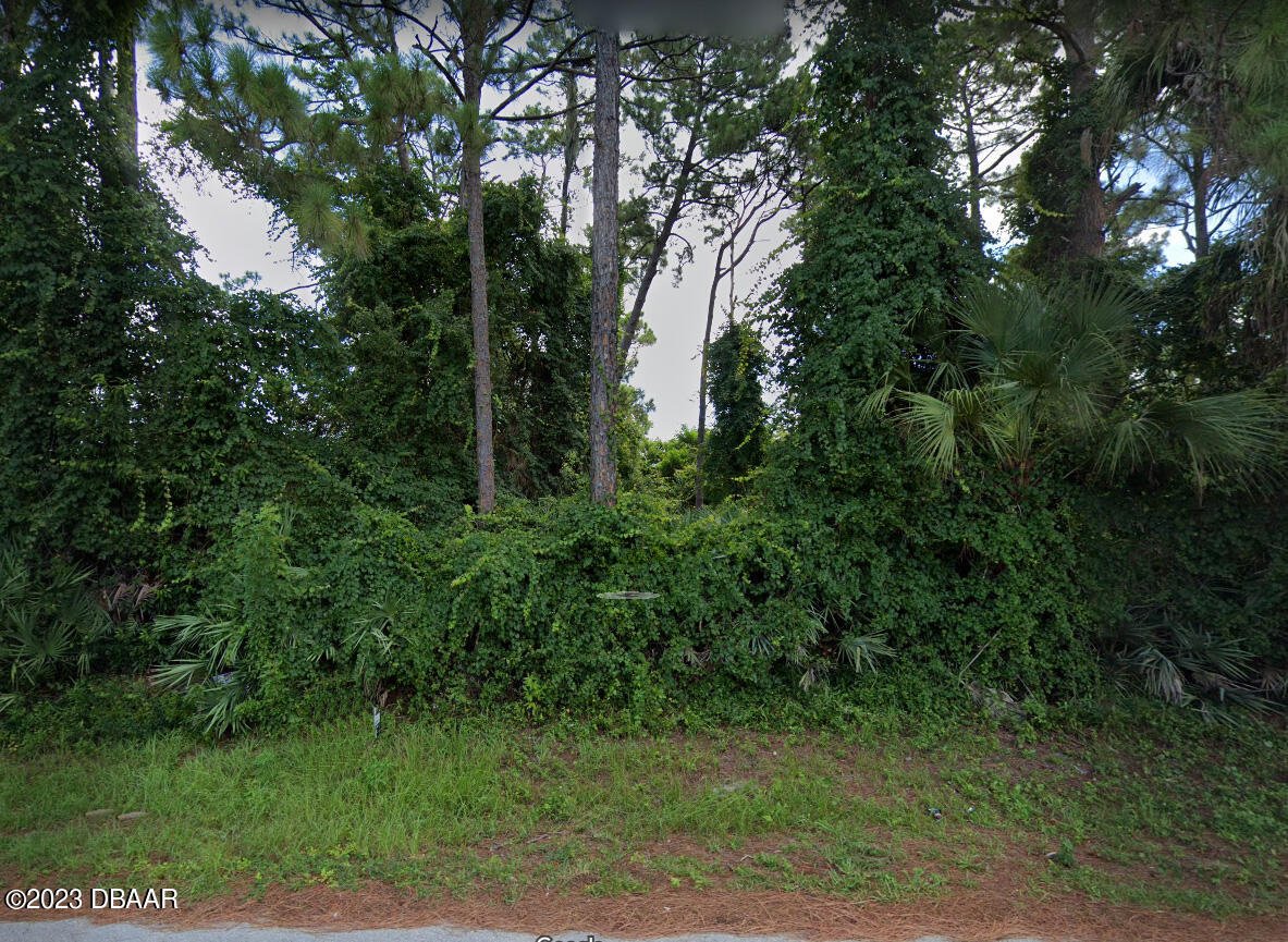 1927 Travelers Palm Dr, Edgewater, FL 32141