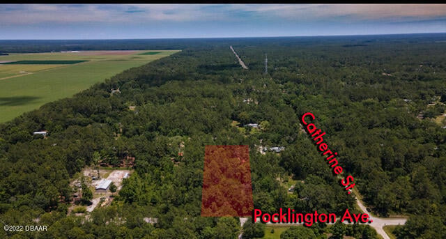 9640 Pocklington Ave, Hastings, FL 32145