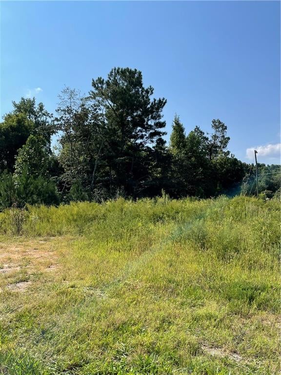 2056 Holly Ct, Cumming, GA 30041