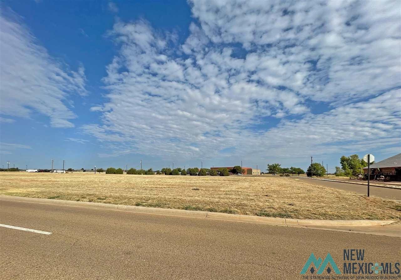 2908 E 7Th St, Clovis, NM 88101