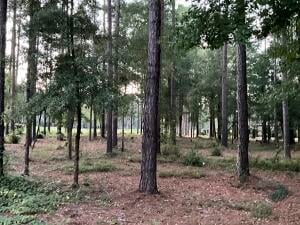 3360 Glenview Dr, Aiken, SC 29803
