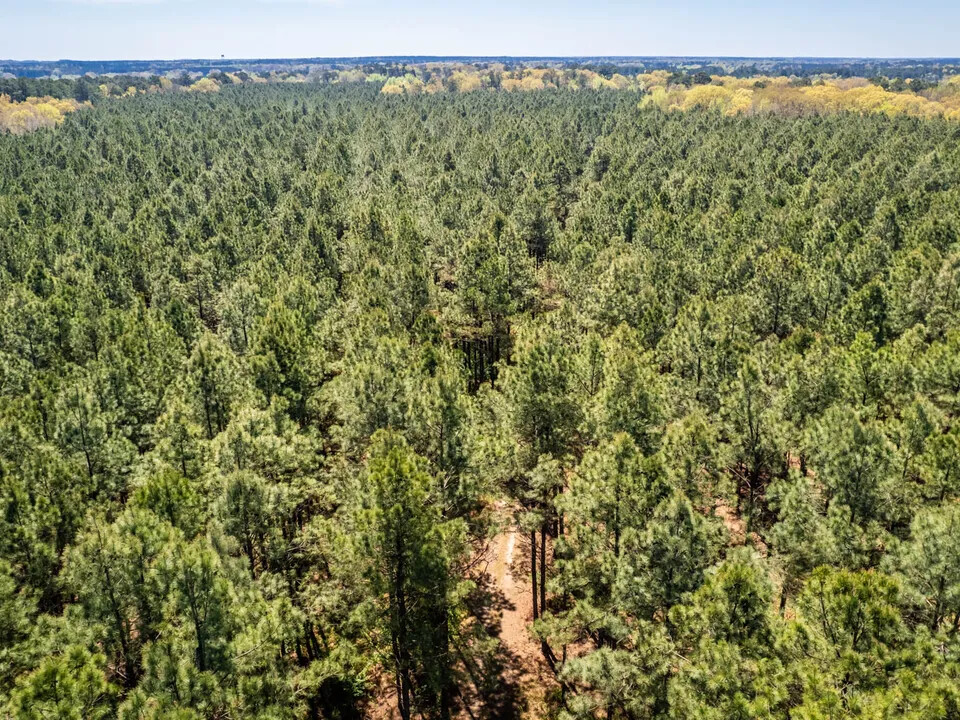 Highway 278, Monticello, AR 71655