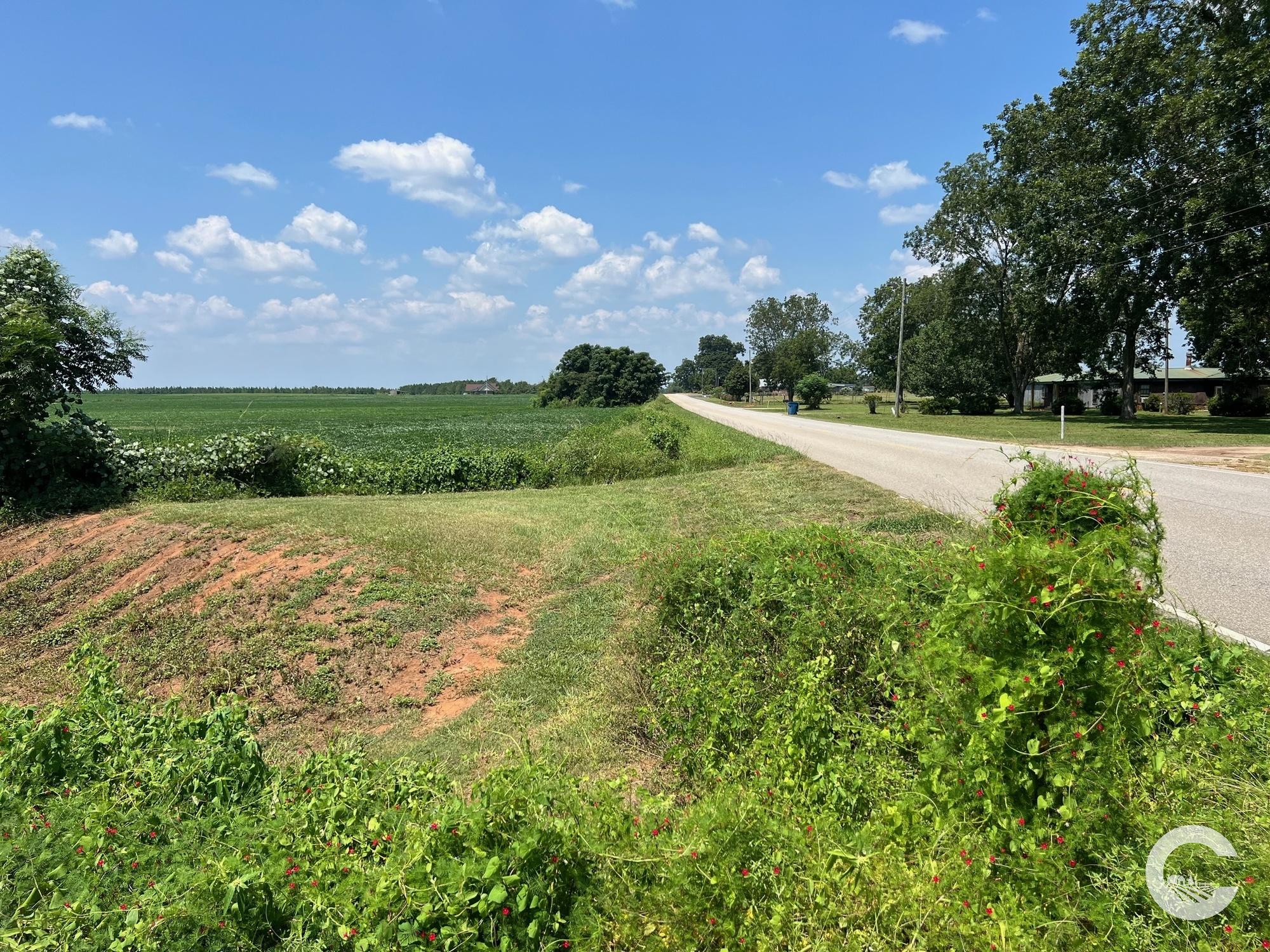 1494 Dogwood Rd, Brewton, AL 36426