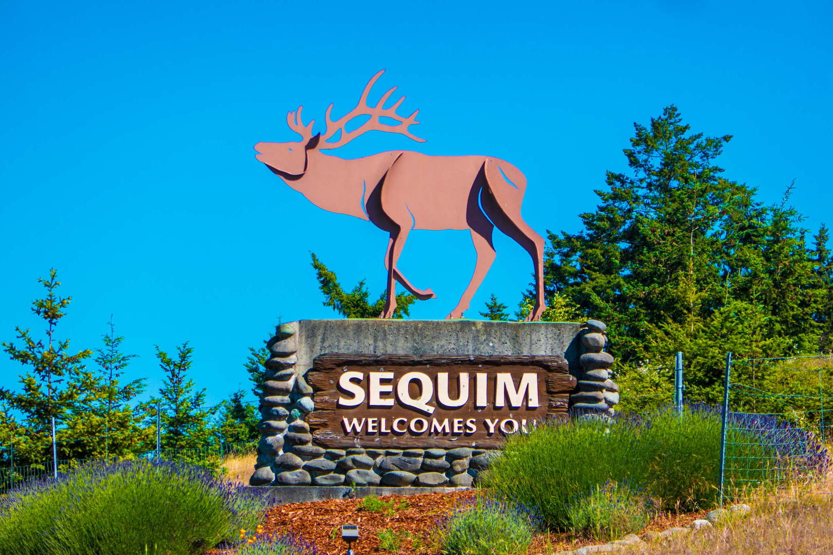 41 Gilbert Rd, Sequim, WA 98382