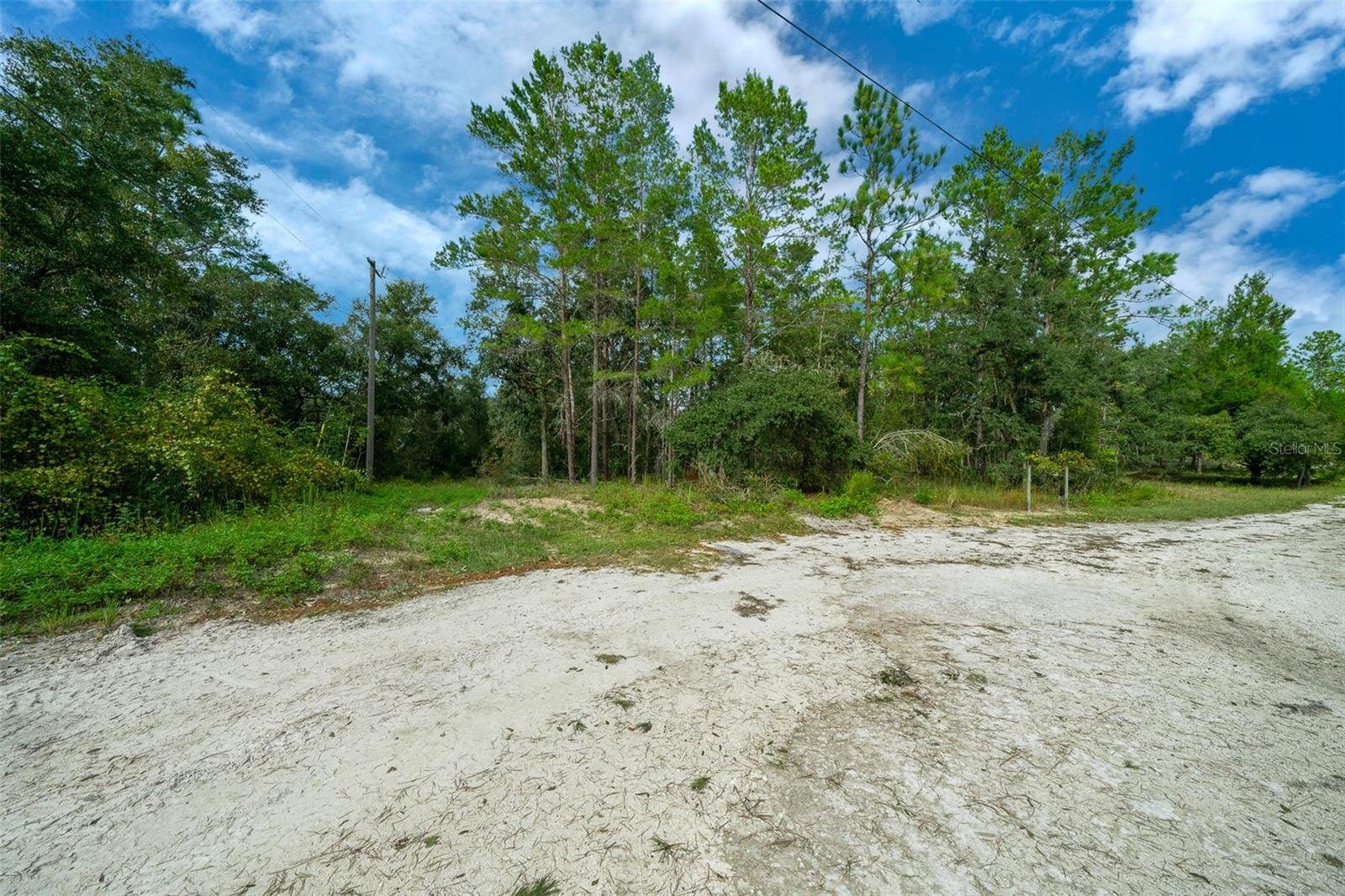 34167 Belt Dr, Dade City, FL 33523