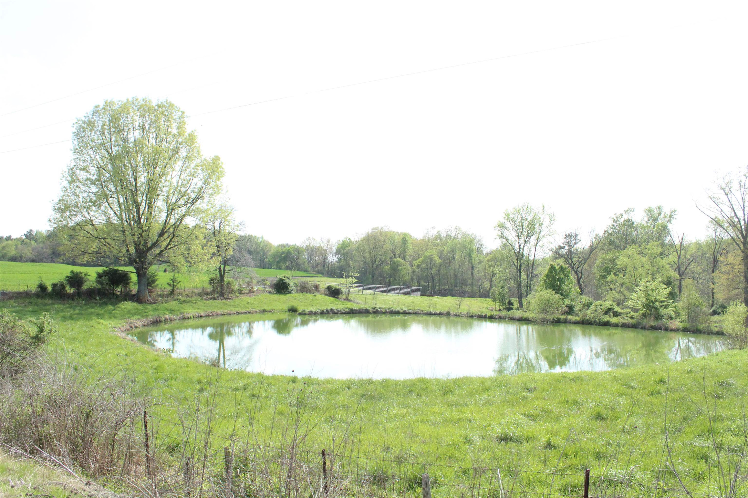 195 Old Jackson Rd, Trenton, TN 38382