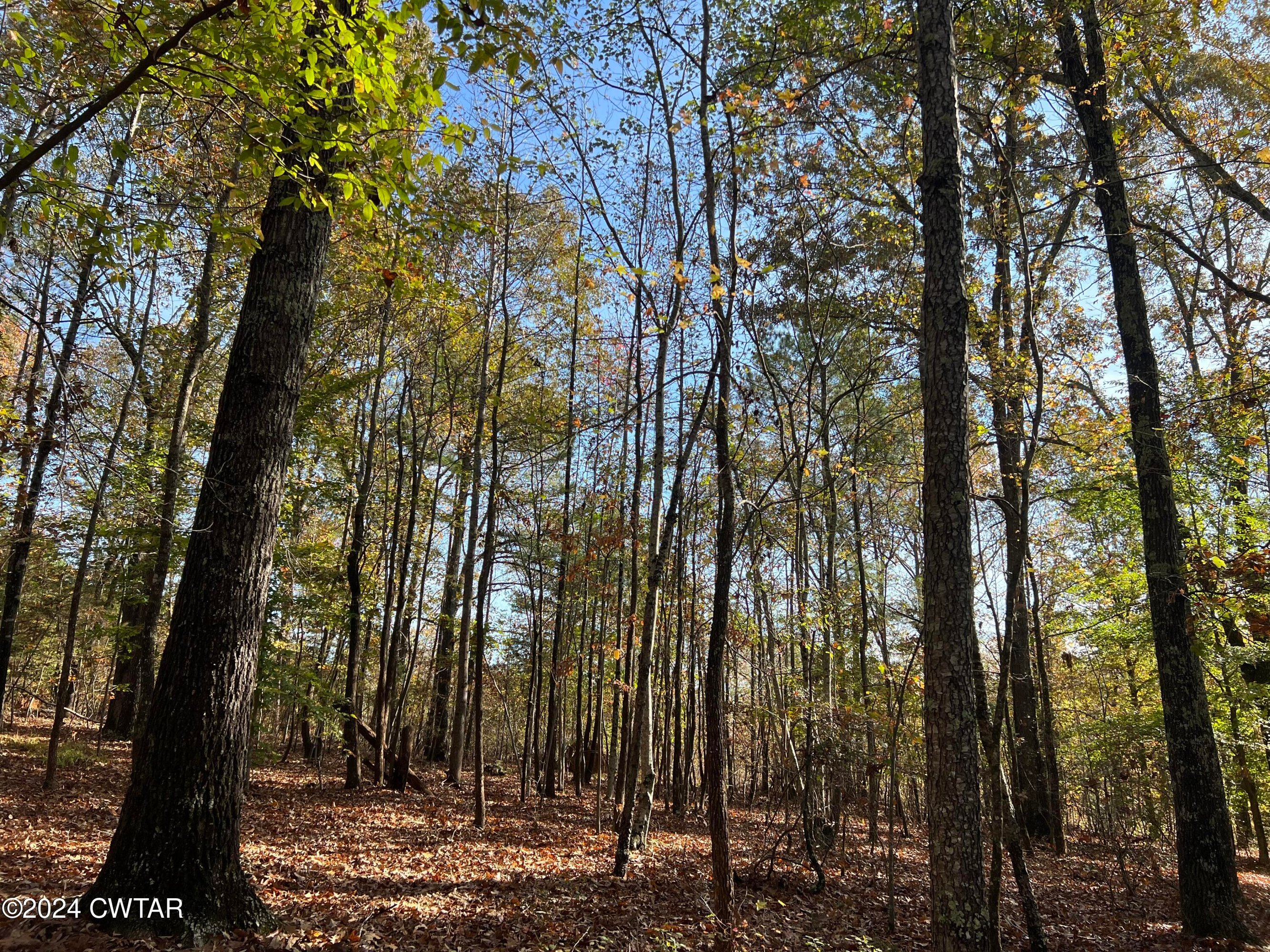 908 Excalibur Trl,Unit 102, Cedar Grove, TN 38321