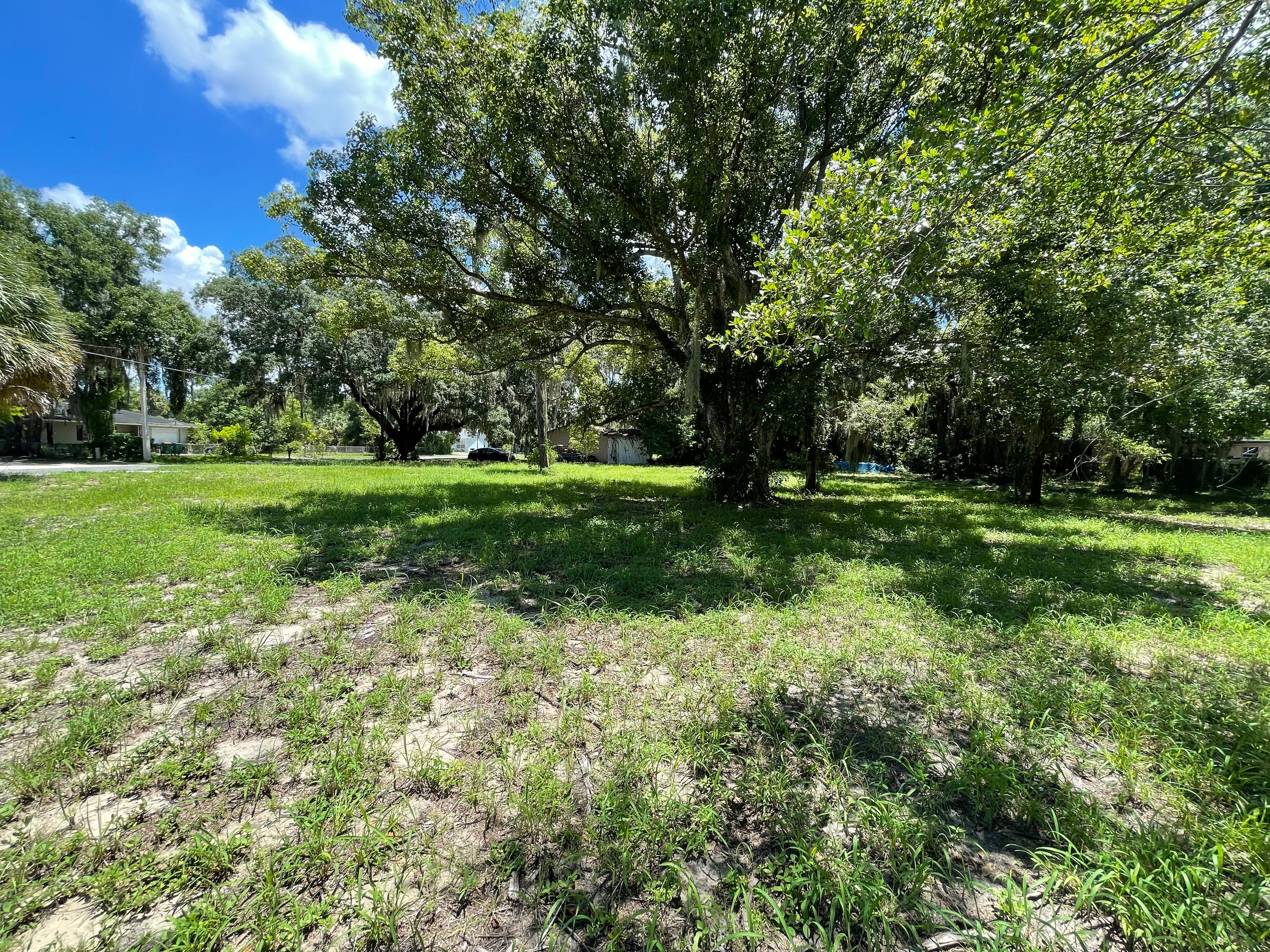 404 Grant Ave, Mount Dora, FL 32757