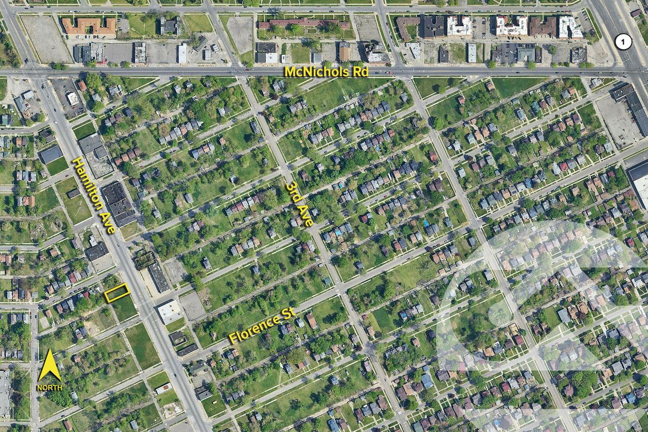 16625 Hamilton Ave, Highland Park, MI 48203