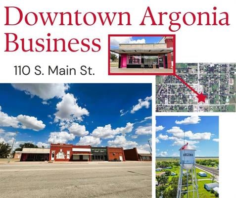 110 S Main St, Argonia, KS 67004