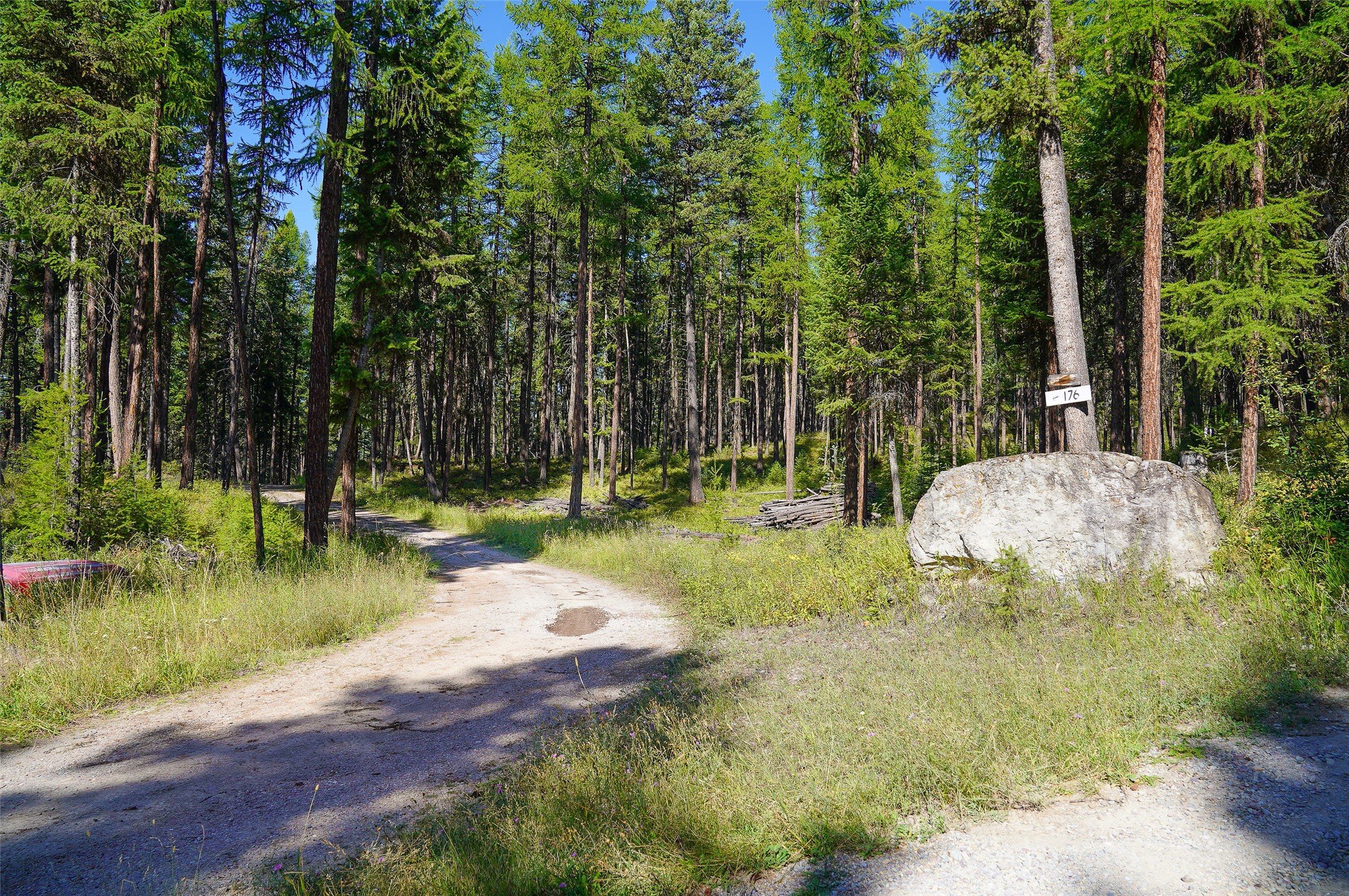176 Murray Ridge Rd, Whitefish, MT 59937