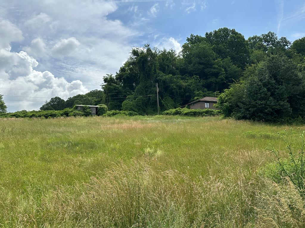 28226 Hillman Hwy, Meadowview, VA 24361