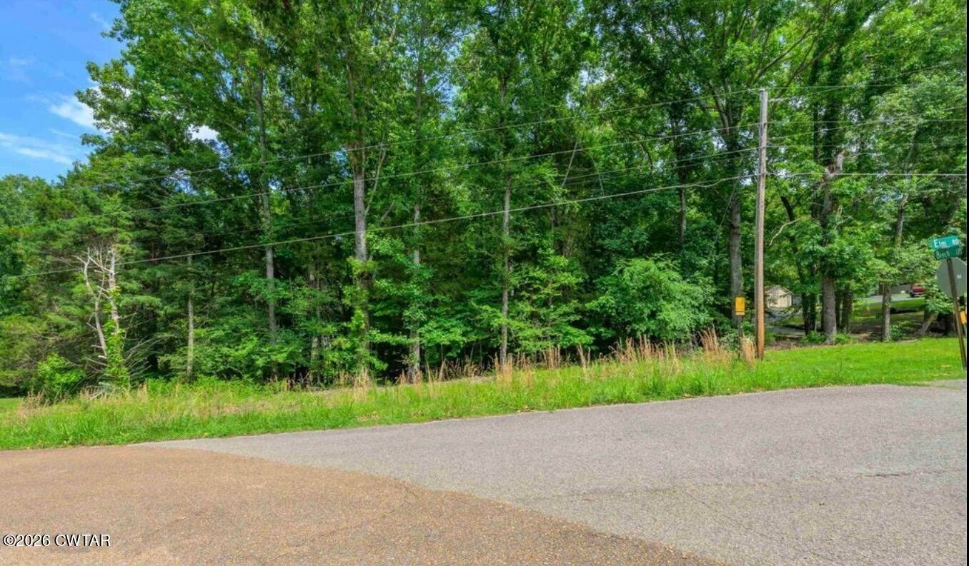 1 Beech Loop, Somerville, TN 38068