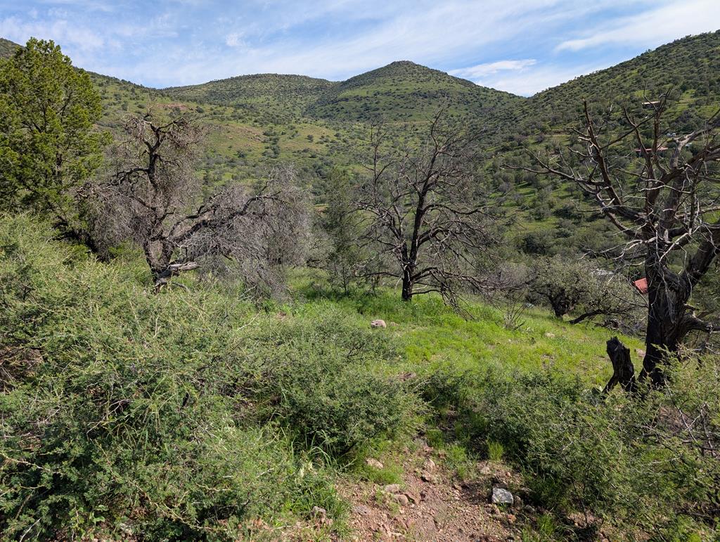 101 Tejano Canyon Dr, Fort Davis, TX 79734