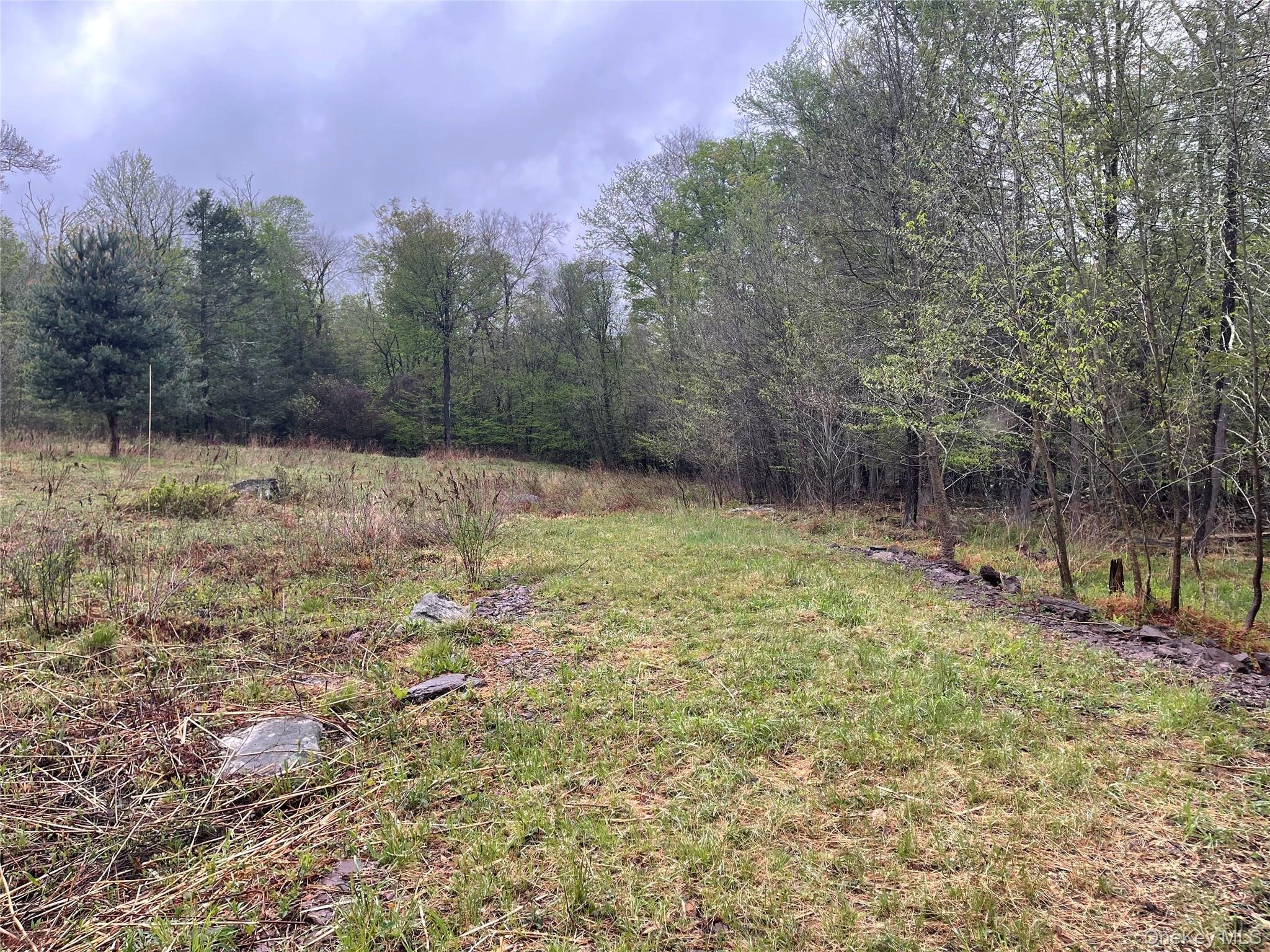 102 Bernsley Rd, Woodridge, NY 12789