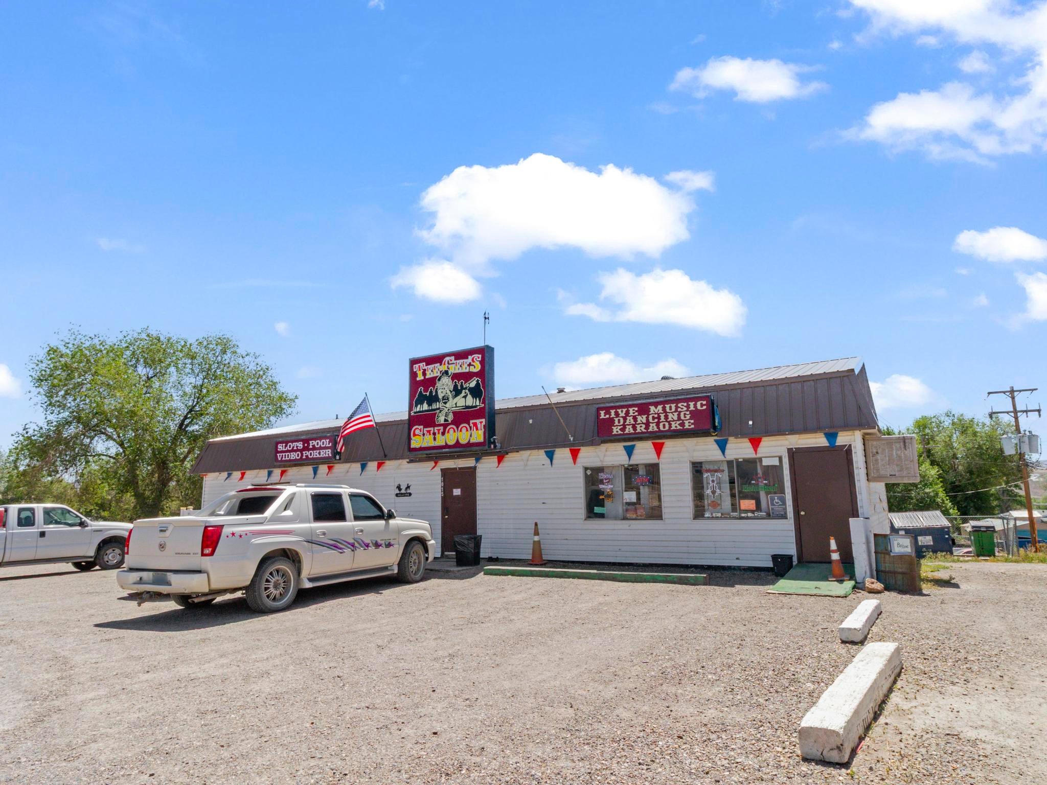 1015 Chestnut St, Carlin, NV 89822
