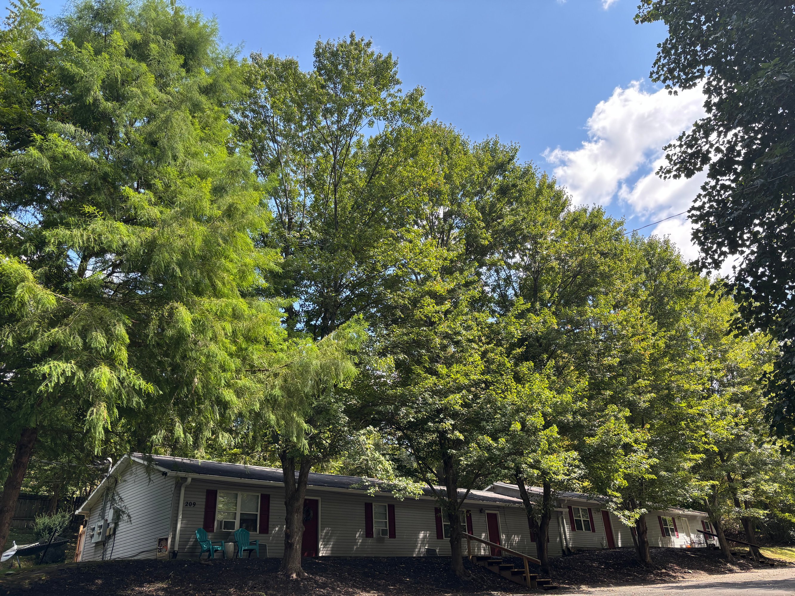 209 Cemetary Ln, Jonesborough, TN 37659