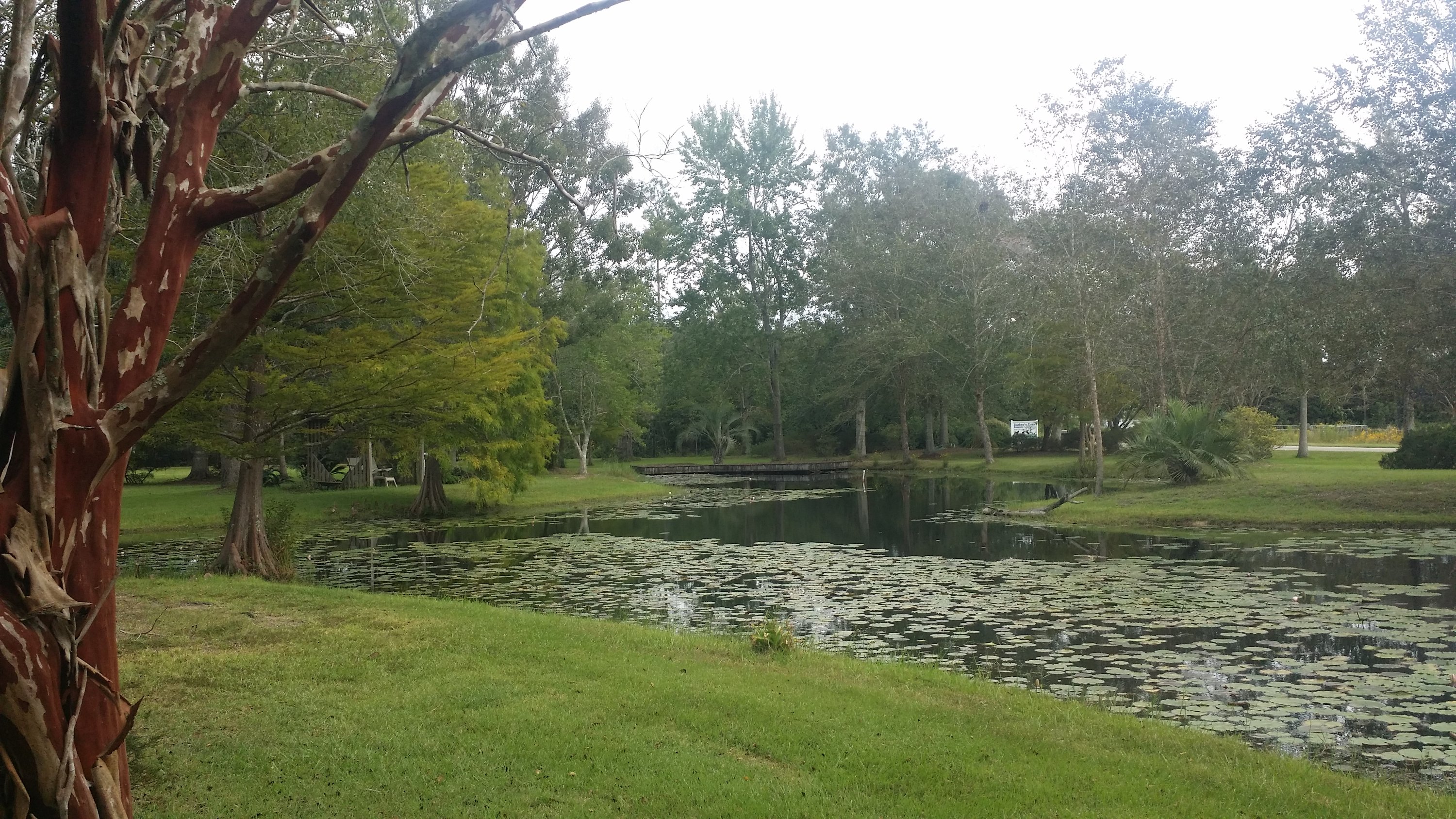 119 Ceasar Rd, Picayune, MS 39466