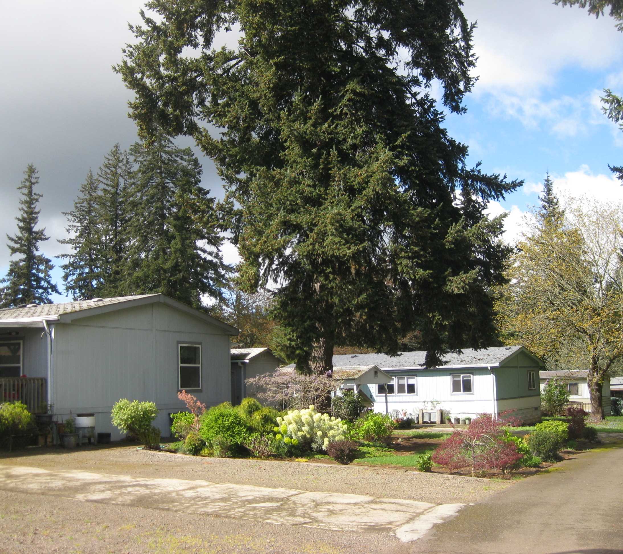 36451 South Sawtell Rd, Molalla, OR 97038