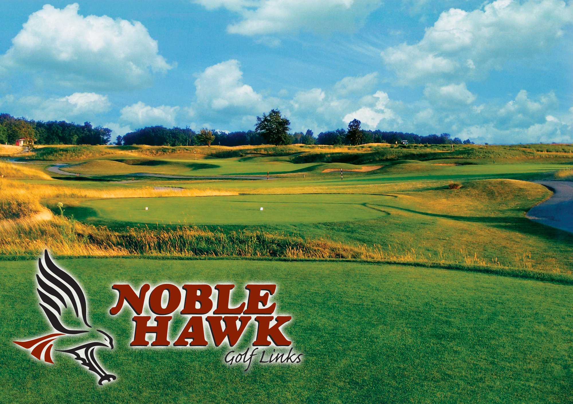 3005 Noble Hawk Dr, Kendallville, IN 46755