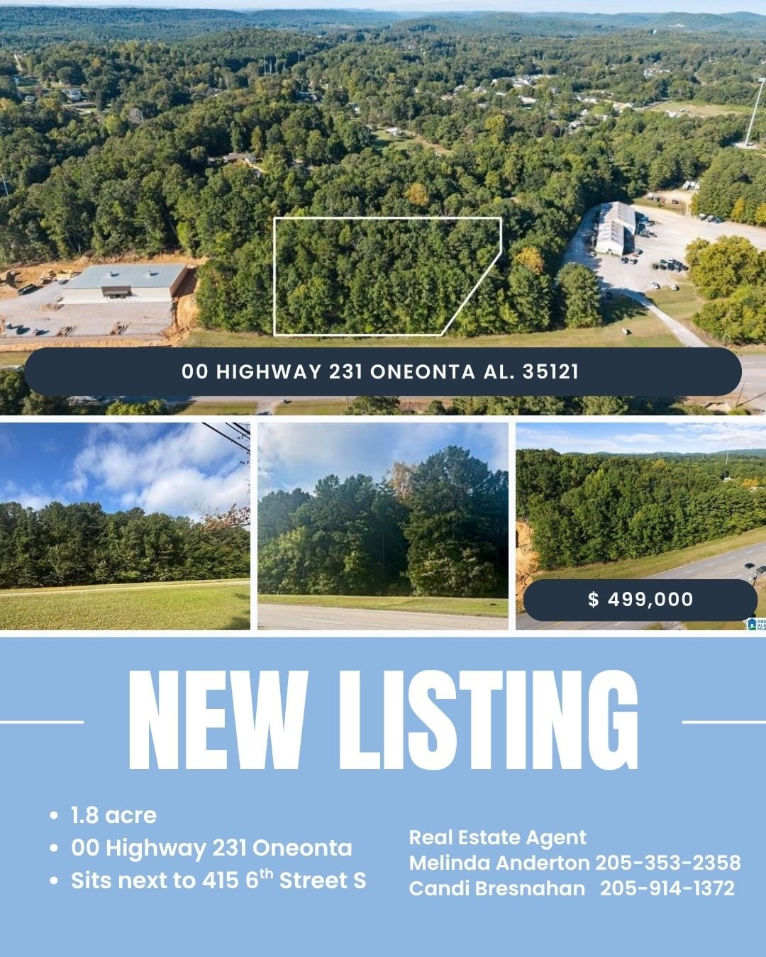 415 6Th St South, Oneonta, AL 35121