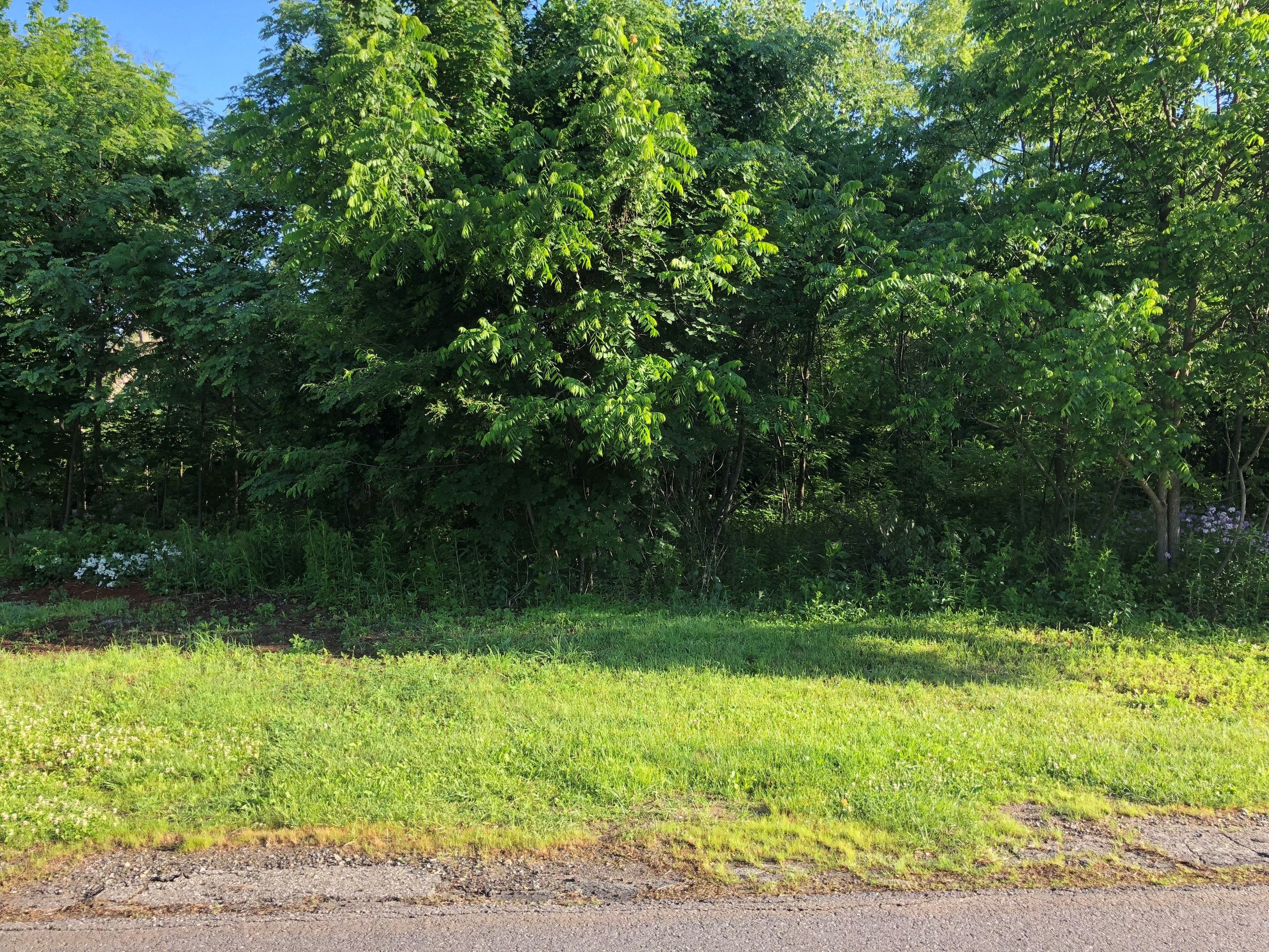 80 Hayes St, Torrington, CT 06790