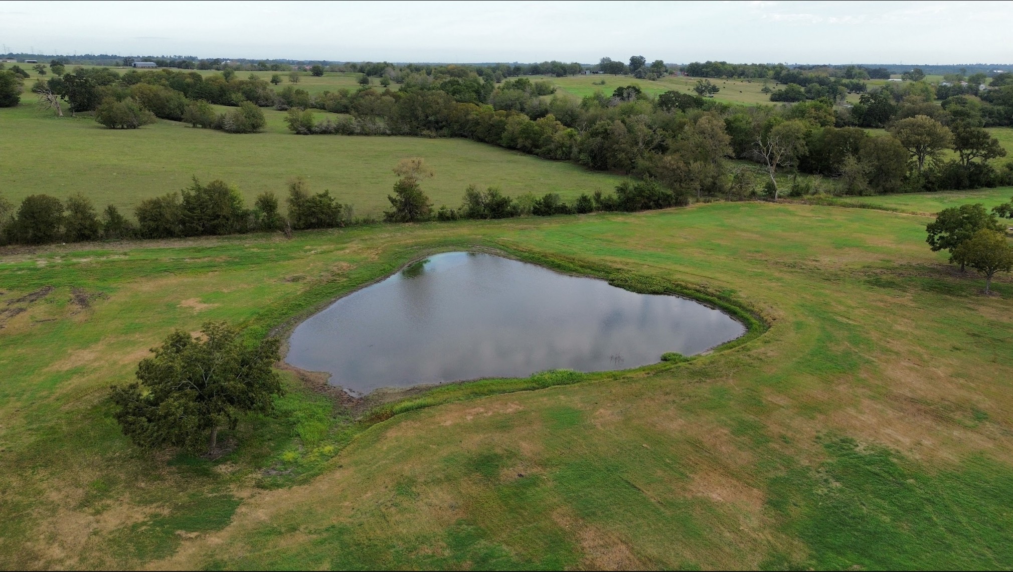 3283 Farm to Market Road 2562, Anderson, TX 77830 For Sale | Crexi.com
