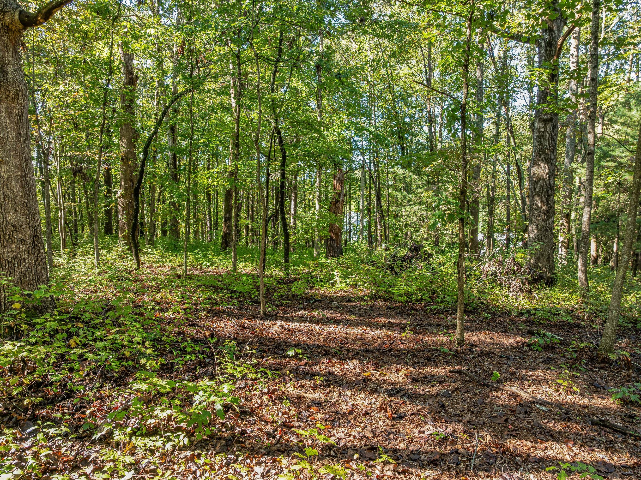 HI ALTA AVE, ASHEVILLE, NC 28806 For Sale | Crexi.com