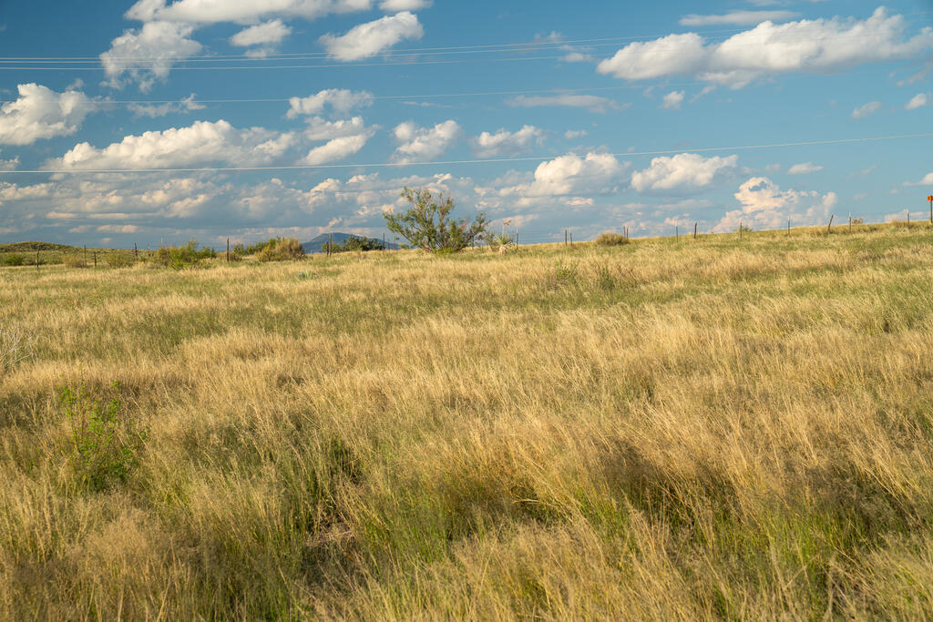 18428 US Highway 90, Marfa, TX 79843 For Sale | Crexi.com