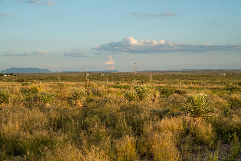 18428 US Highway 90, Marfa, TX 79843 For Sale | Crexi.com