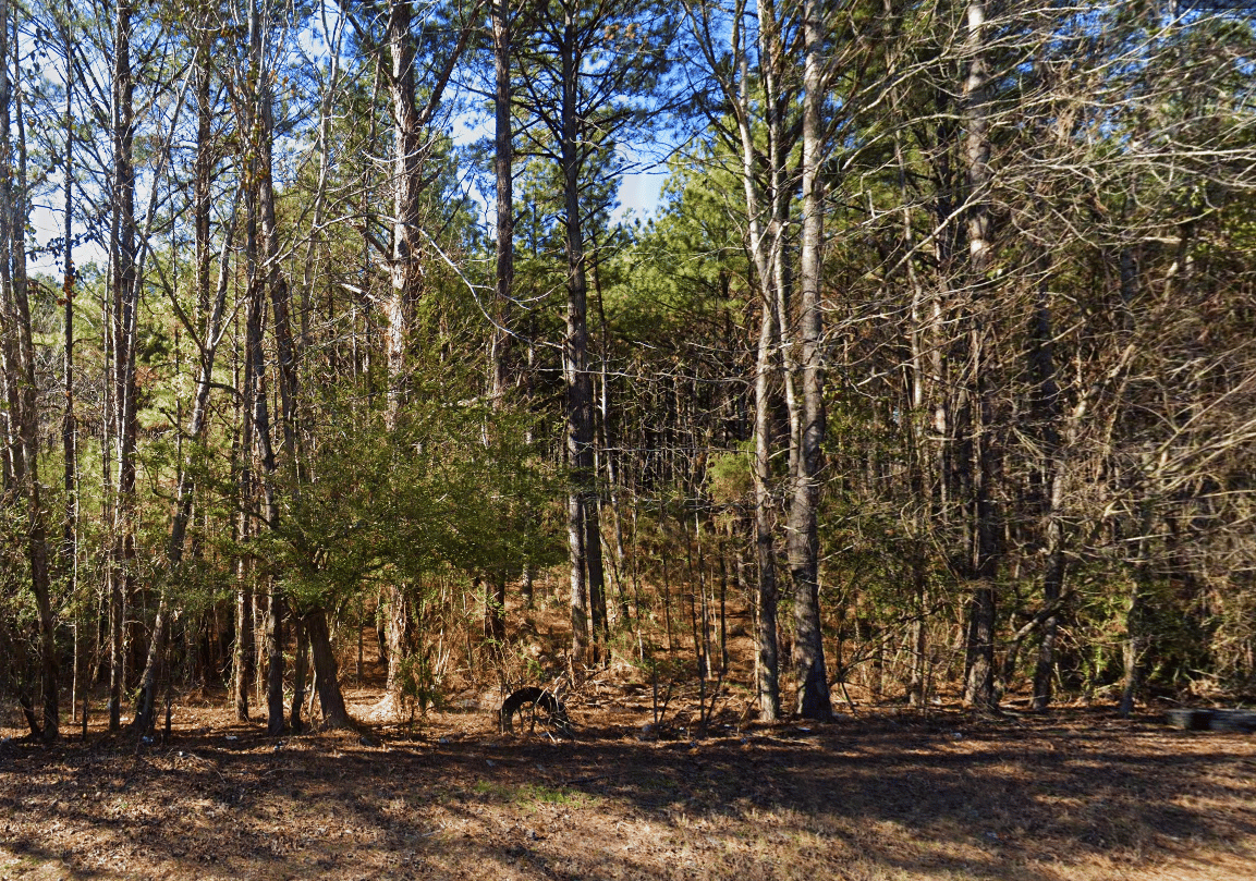 JVC Access Road, Cottondale, AL 35453 For Sale | Crexi.com