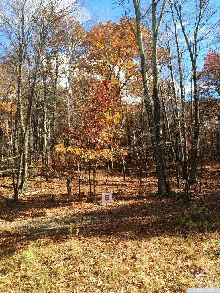 8 Birch Hill Road, Copake Lake, NY 12521 For Sale | Crexi.com