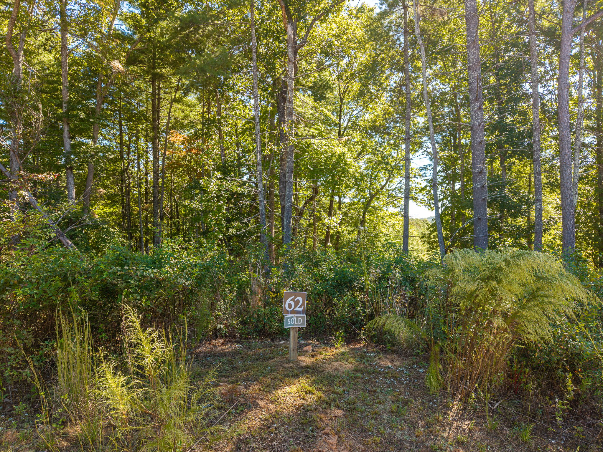 62 Ridge Road, Blue Ridge, GA 30513 For Sale | Crexi.com