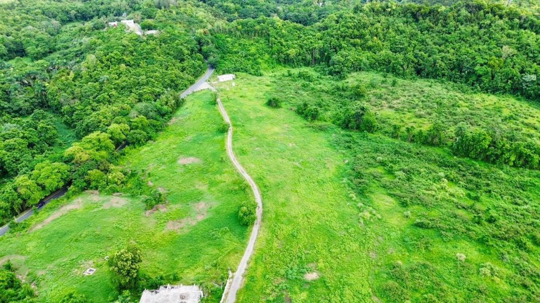 Carr 160 Km 6.4 Bo Almirante Sur, Vega Baja, Puerto Rico 00693 For Sale ...