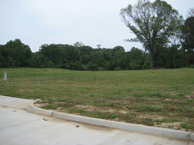 12 Beechwood Ln, Natchez, MS 39120
