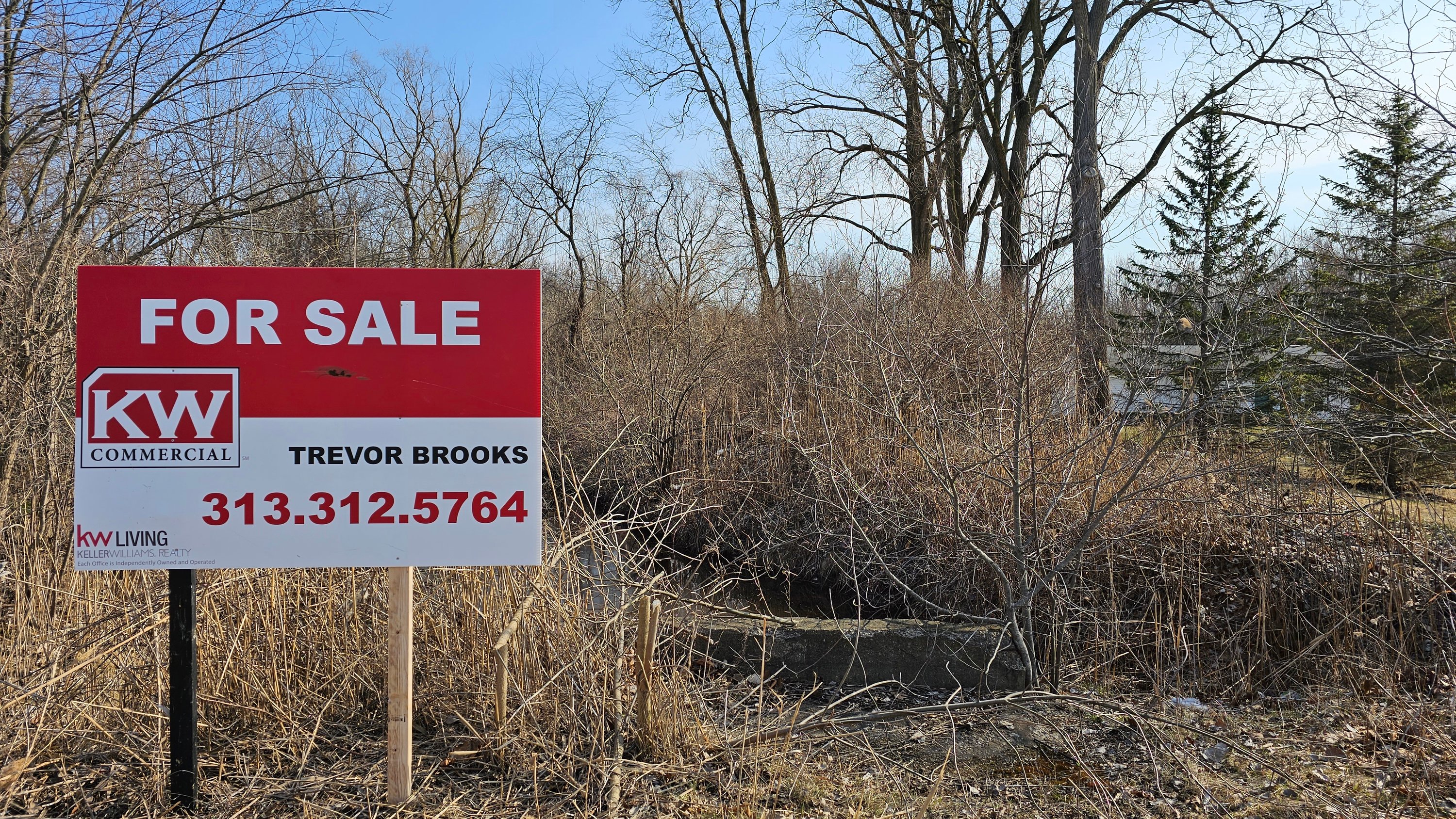 46319 Ecorse Rd, Belleville, MI 48111