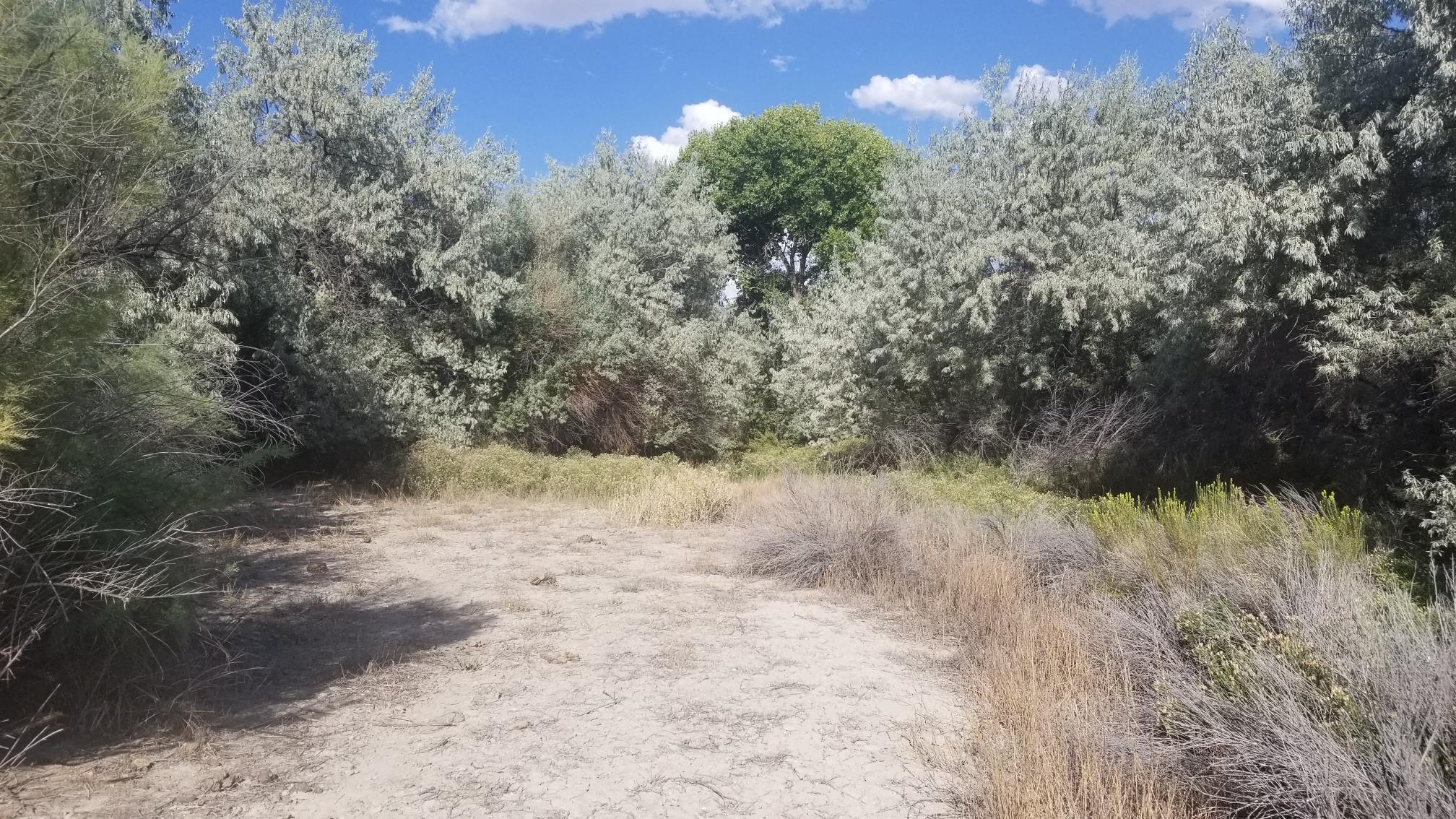 200 Raymond Rd, Lovelock, NV 89419